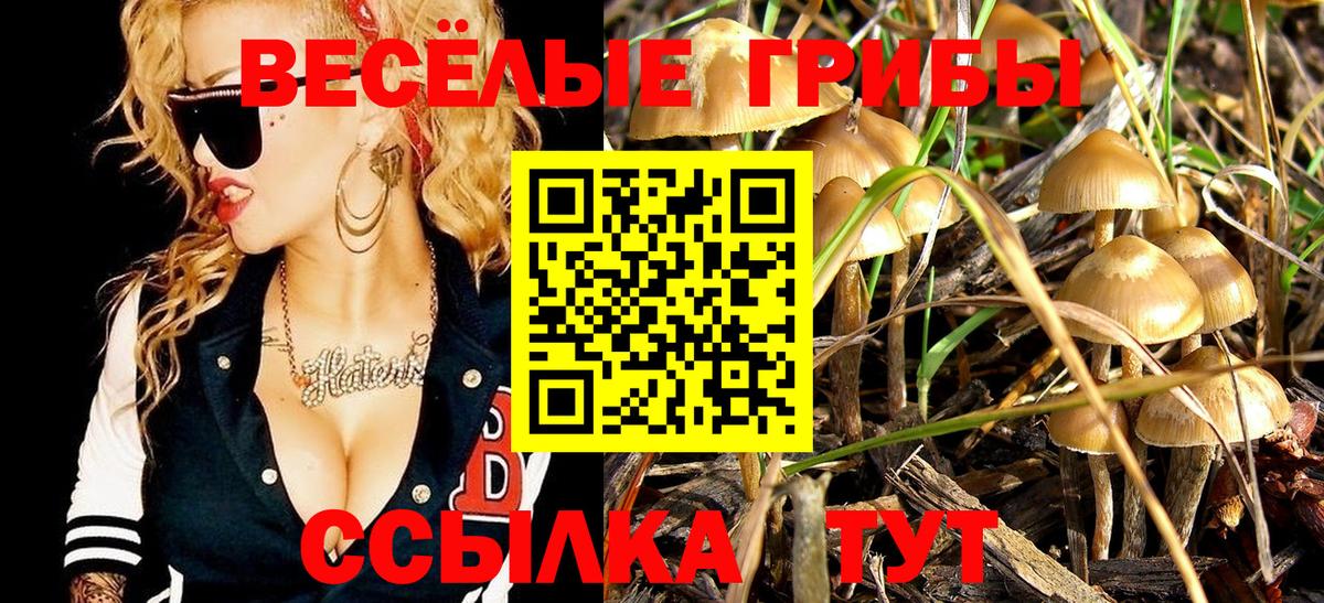 Псилоцибиновые грибы мицелий Асино