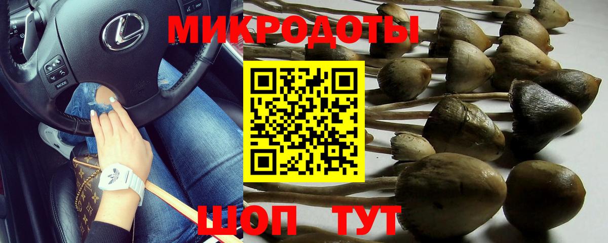 Галлюциногенные грибы прущие грибы  Псилоцибиновые грибы GOLDEN TEACHER  Асино 