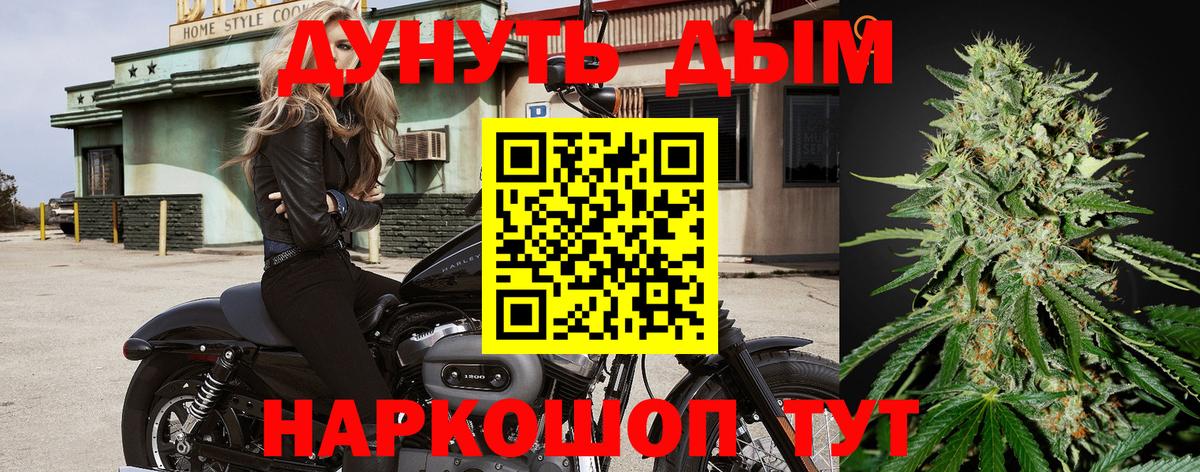 Каннабис марихуана Асино